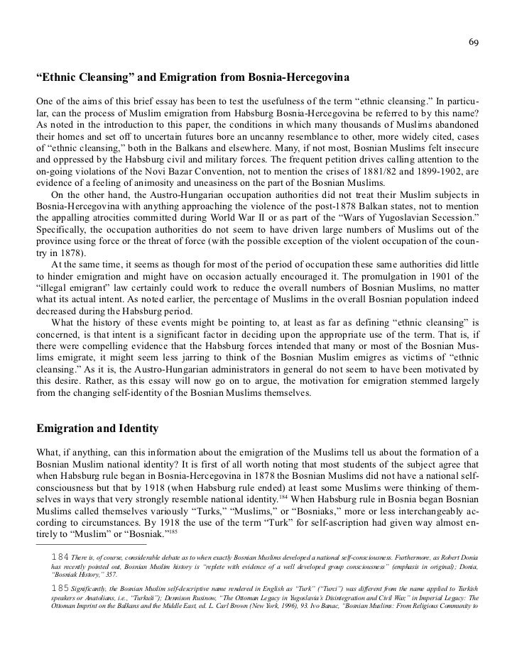 ethnic identity essay ethnic identity essay