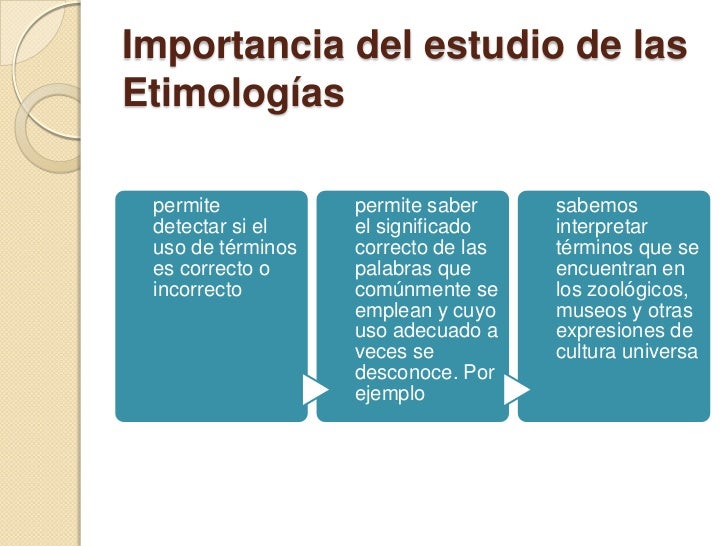 Etimologias grecolatinas