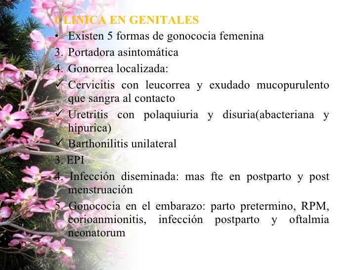 ets en prostitutas prostitutas en tomelloso ets en prostitutas prostitutas en tomelloso