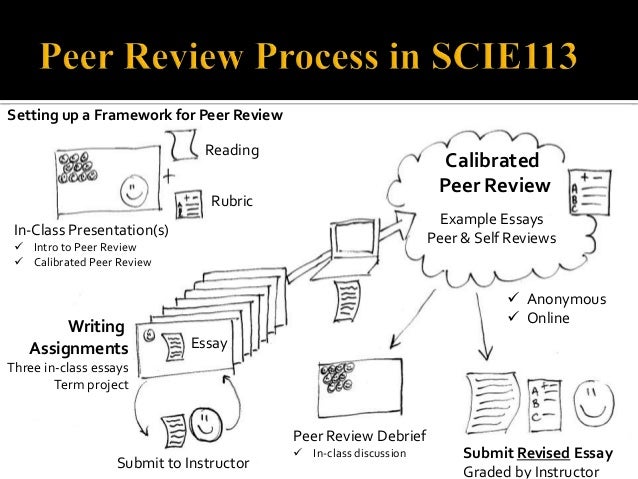 Free Peer Essays and Papers