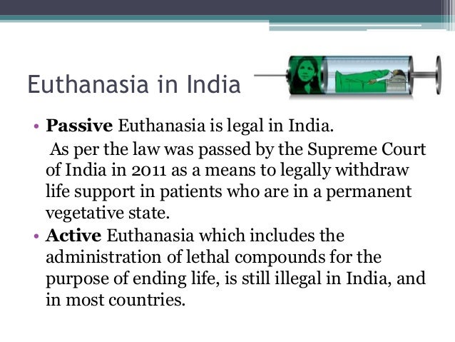 a glimpse at euthanasia mercy killing Euthanasia is one of the great taboos of modern medical final thoughts on mercy killing in the medical field ultius, inc euthanasia and mercy killings. a glimpse at euthanasia mercy killing Euthanasia is one of the great taboos of modern medical final thoughts on mercy killing in the medical field ultius, inc euthanasia and mercy killings.
