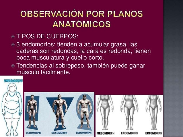 El aumento energético del pecho