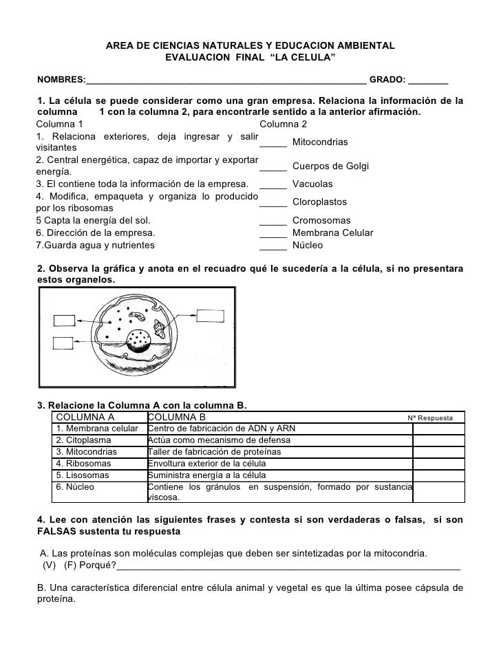 Solucionario Del Libro Sep Quinto Grado Ciencias Naturales | solucionario ciencias naturales quinto grado bloque 1 tema Solucionario Del Libro Sep Quinto Grado Ciencias Naturales | solucionario ciencias naturales quinto grado bloque 1 tema