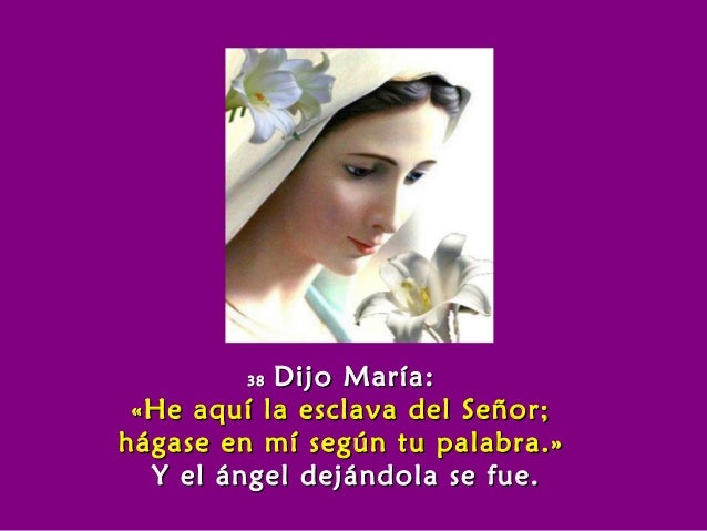 3838 Dijo María:Dijo María:
«He aquí la esclava del Señor;«He aquí la esclava del Señor;
hágase en mí según tu palabra.»há...