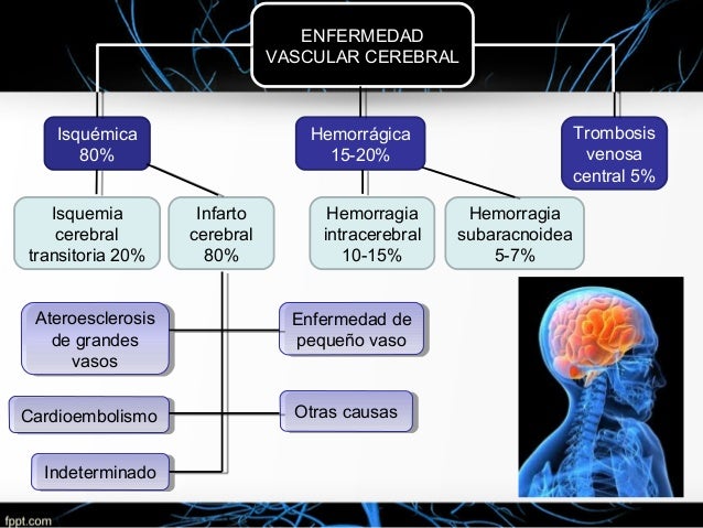 EVC isquémico y hemorrágico EVC isquémico y hemorrágico