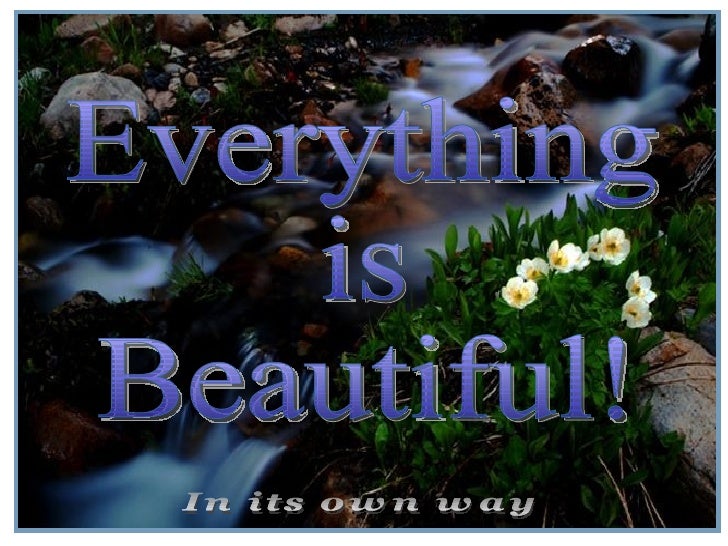 Everything Is Beautiful