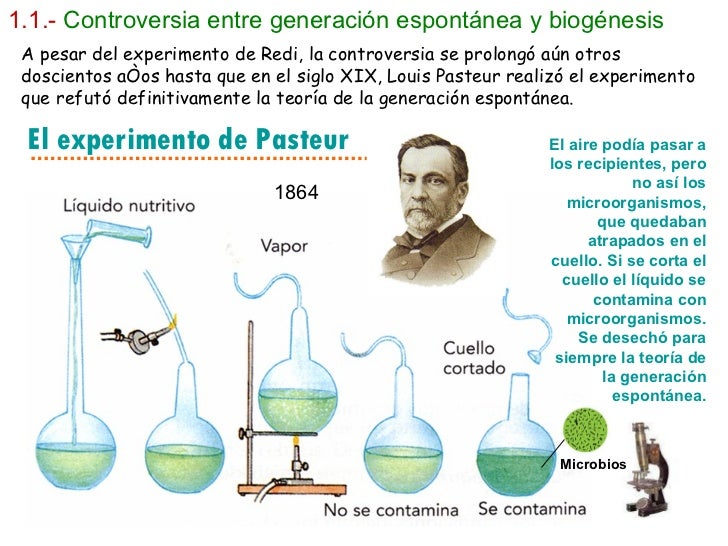 EVOLUCION EVOLUCION
