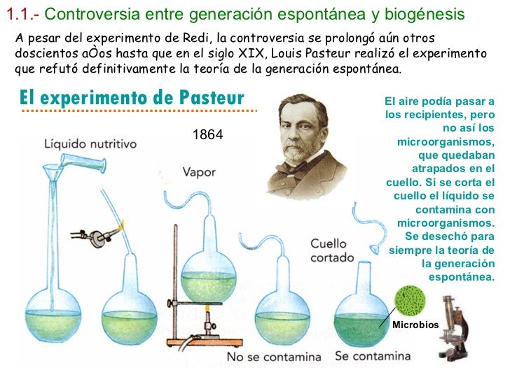 Resultado de imagen para generación espontánea biología