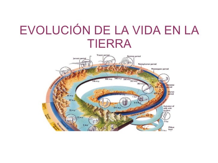 LA CREACION DE LA VIDA EN LA TIERRA la creacion de la vida en la tierra: