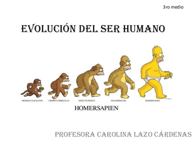 EVOLUCION DEL SER HUMANO evolucion del ser humano: