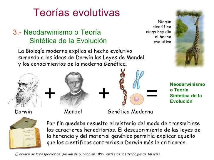 Evolución 3 Teorías Evolutivas