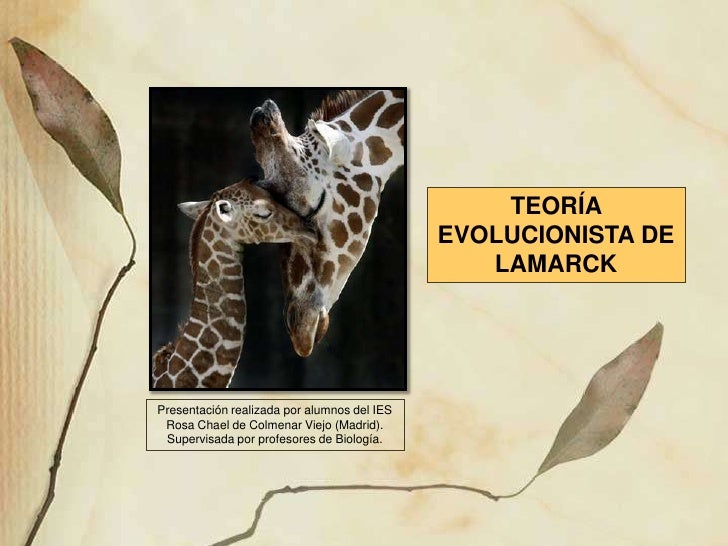 LAMARCK Y SU TEORIA lamarck y su teoria: