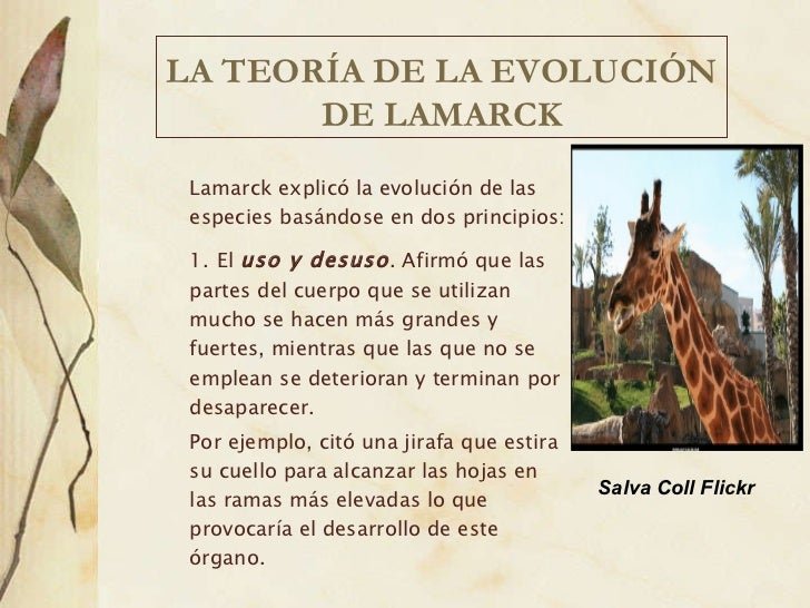 Teoría evolucionista de Lamarck