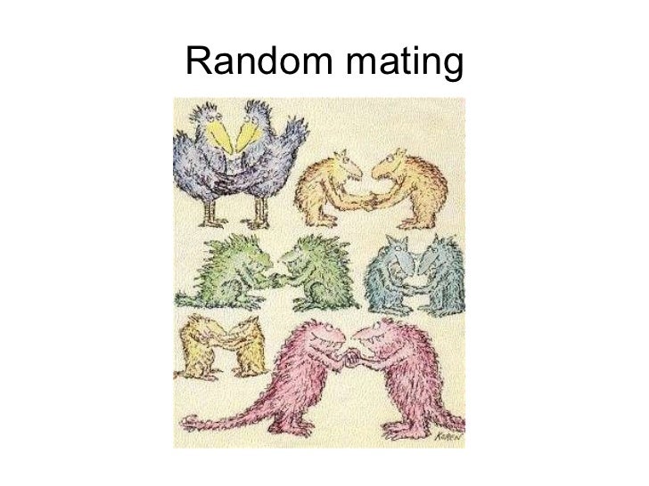 Is Natural Selection A Random Event Is Natural Selection A Random Event