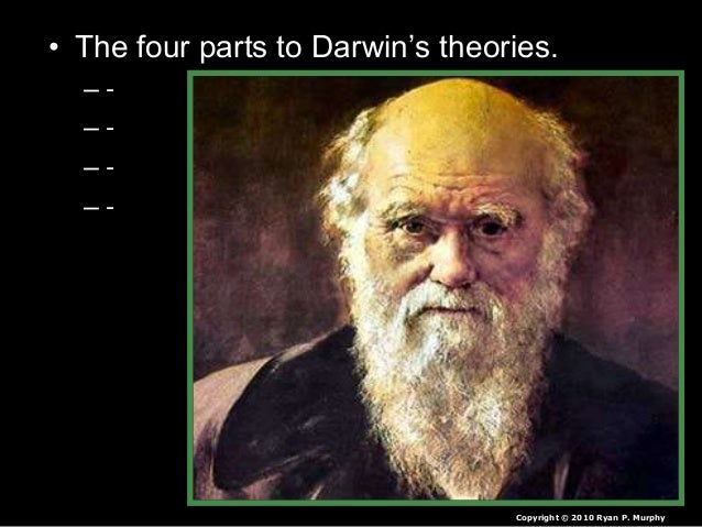 What Are The Four Parts Of Natural Selection What Are The Four Parts Of Natural Selection
