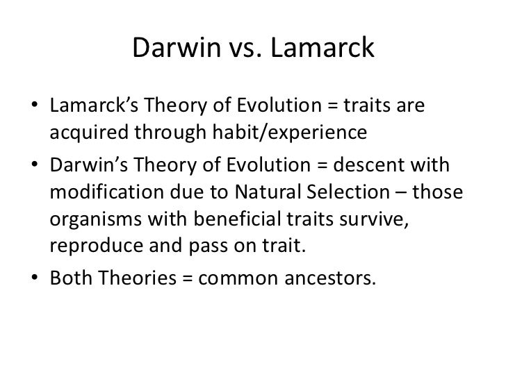 Theory Of Evolution Through Natural Selection Theory Of Evolution Through Natural Selection