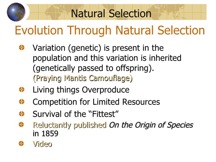 Natural Selection Survival Of The Fittest Natural Selection Survival Of The Fittest