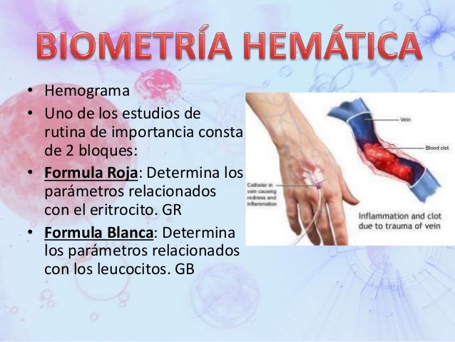 Para Que Sirve El Estudio Bh