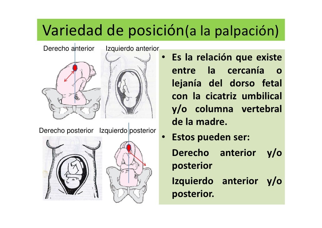 Examen fisico de abdomen Julio 2012
