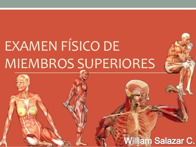 EXAMEN FÍSICO DE
MIEMBROS SUPERIORES
 