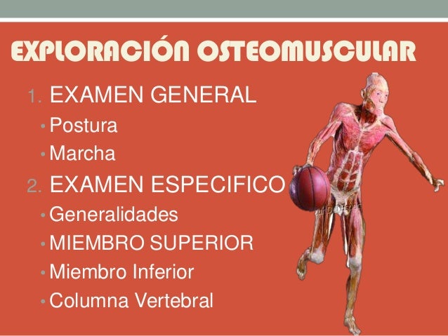 EXPLORACIÓN OSTEOMUSCULAR
1. EXAMEN GENERAL
• Postura
• Marcha
2. EXAMEN ESPECIFICO
• Generalidades
• MIEMBRO SUPERIOR
• M...