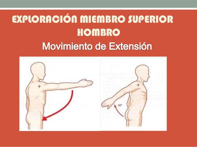 EXPLORACIÓN MIEMBRO SUPERIOR
HOMBRO
 