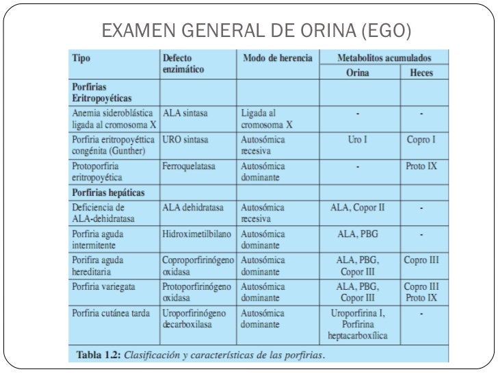 Examen general de orina