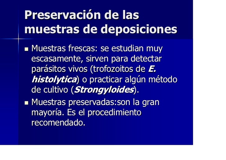 Que lombrices pueden ser llevadas en el organismo de la persona