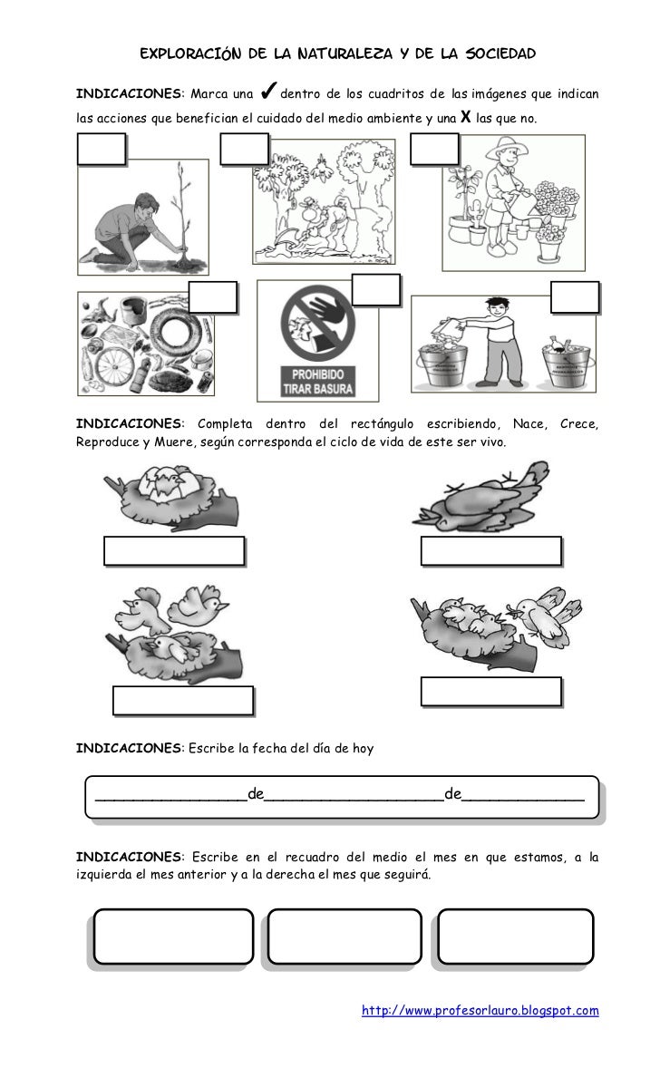 Resultado de imagen para examen  sobre medio ambiente para primaria