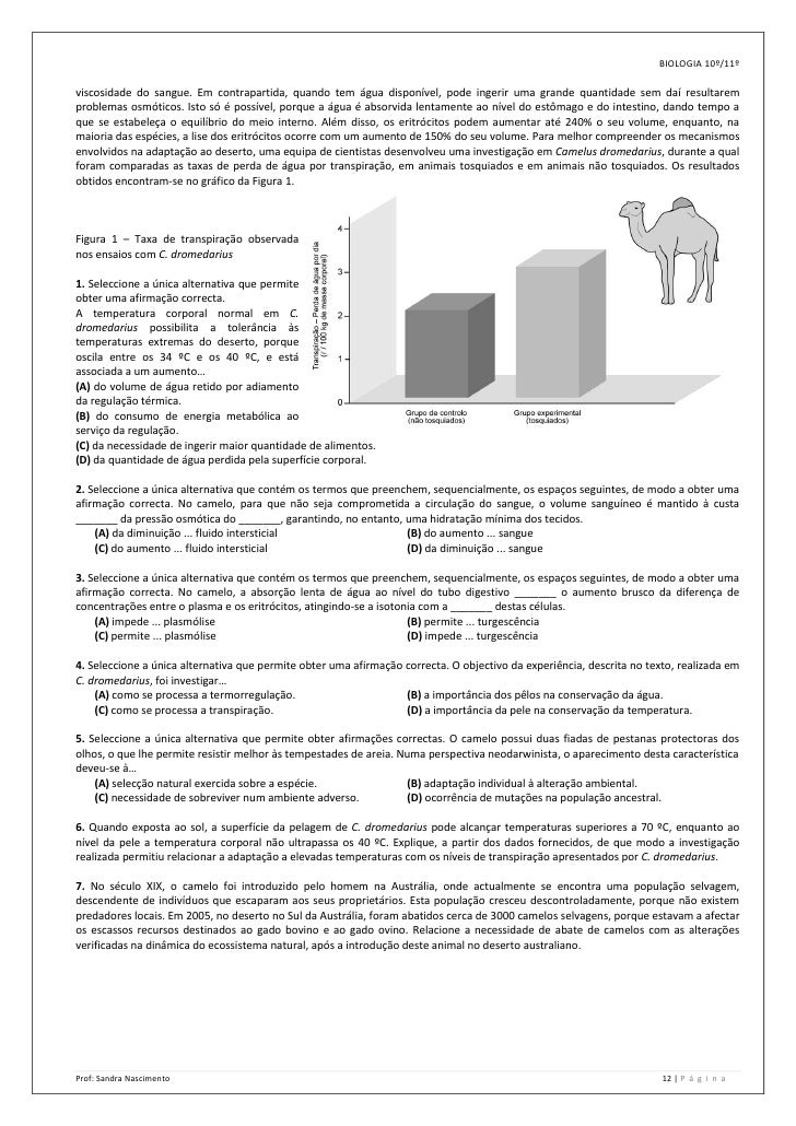 Como um repolho do mar cada dia é possível perder o peso