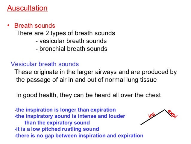 diseases with vesicular breath sounds