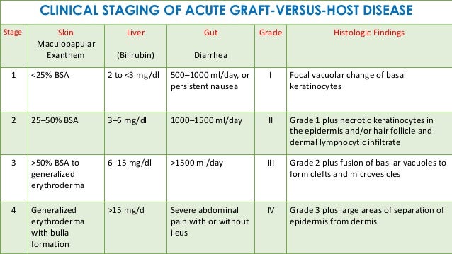 graft vs host disease #11