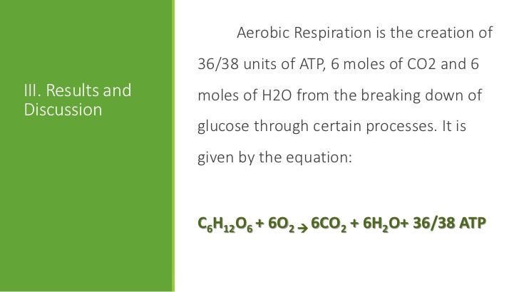 aerobic respiration in yeast Yeast propogation with aerobic respiration the primary goal of fermentation is the production of alcohol, while the goal of propagation is increasing the yeast biomass on one hand, anaerobic yeast respiration converts sugar into alcohol, carbon dioxide, and some energy. aerobic respiration in yeast Yeast propogation with aerobic respiration the primary goal of fermentation is the production of alcohol, while the goal of propagation is increasing the yeast biomass on one hand, anaerobic yeast respiration converts sugar into alcohol, carbon dioxide, and some energy.