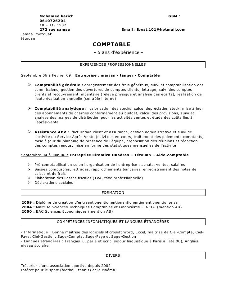 resume format  presentation cv francais