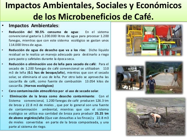 Impactos Del Comercio Justo Del Cafe Impactos Del Comercio Justo Del Cafe