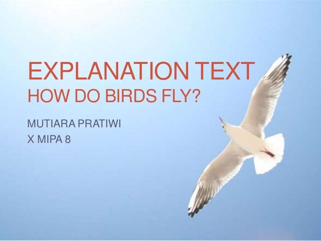 explanation text explanation text