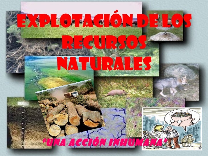 LA PROBLEMATICA DE LOS RECURSOS NATURALES la problematica de los recursos naturales: