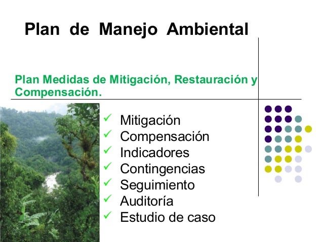 Plan de Manejo Ambiental - Mitigacion