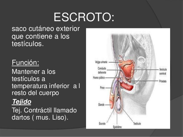 interior arts sherwin williams arts and crafts paint colorations