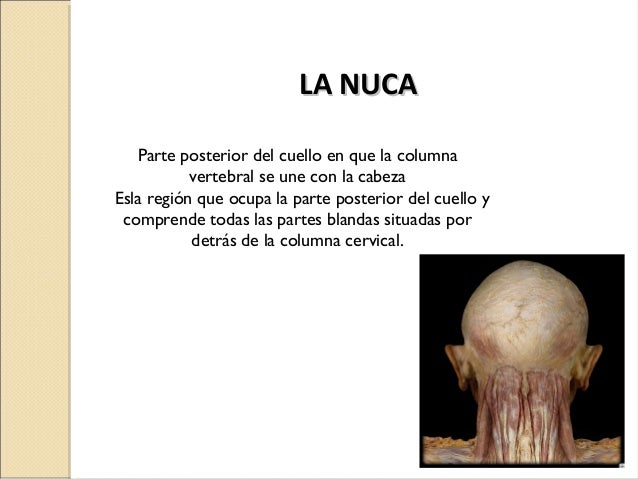 El masaje a la osteocondrosis del departamento de pecho de la vértebra