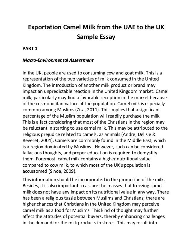 politics essay writing tips politics essay writing tips
