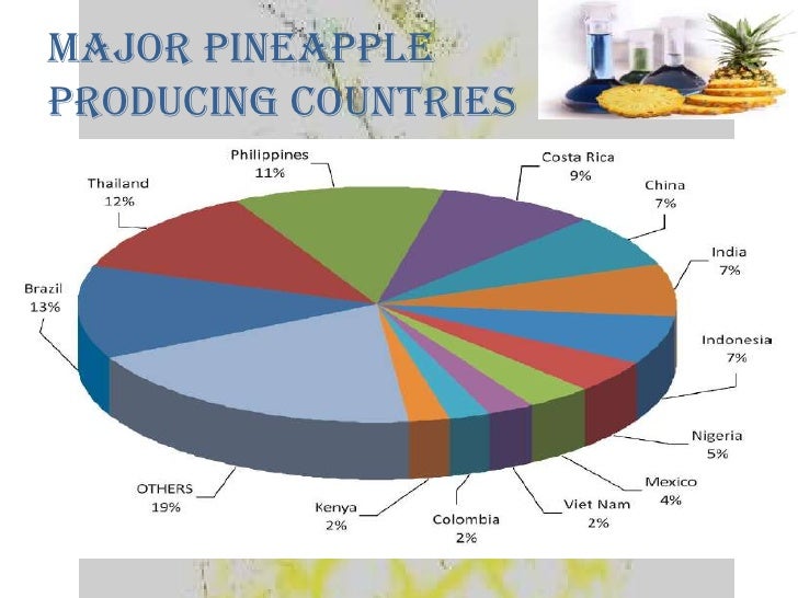 pineapple production
