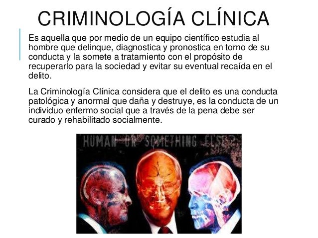 Quien ha sanado la caída del cabello