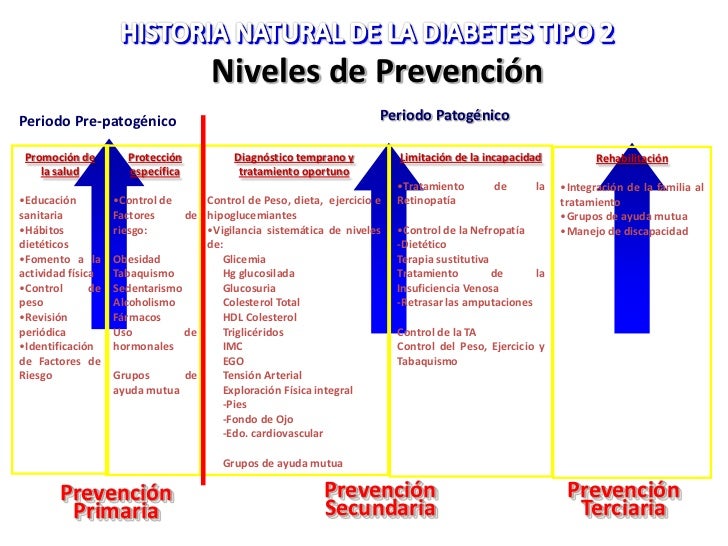 Diabetes Mellitus tipo 2 Diabetes Mellitus tipo 2