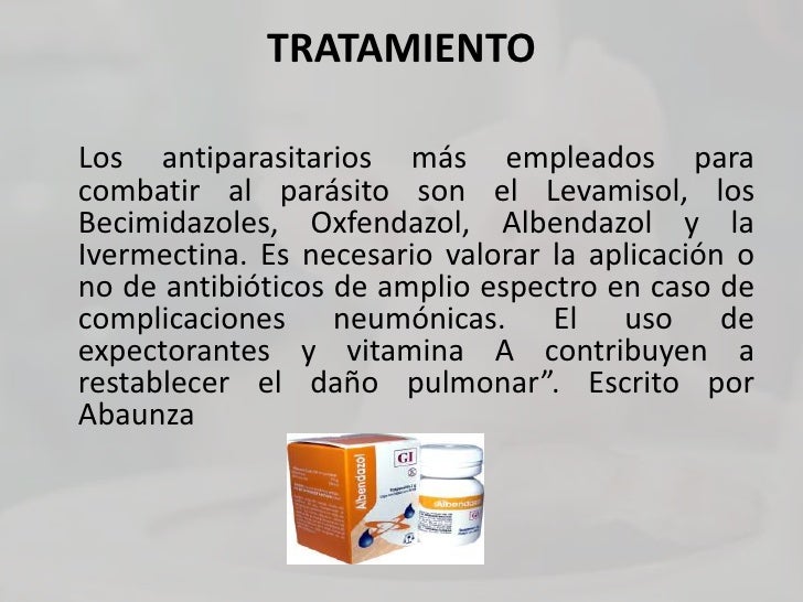 Me duele la parte inferior del vientre y los riñones