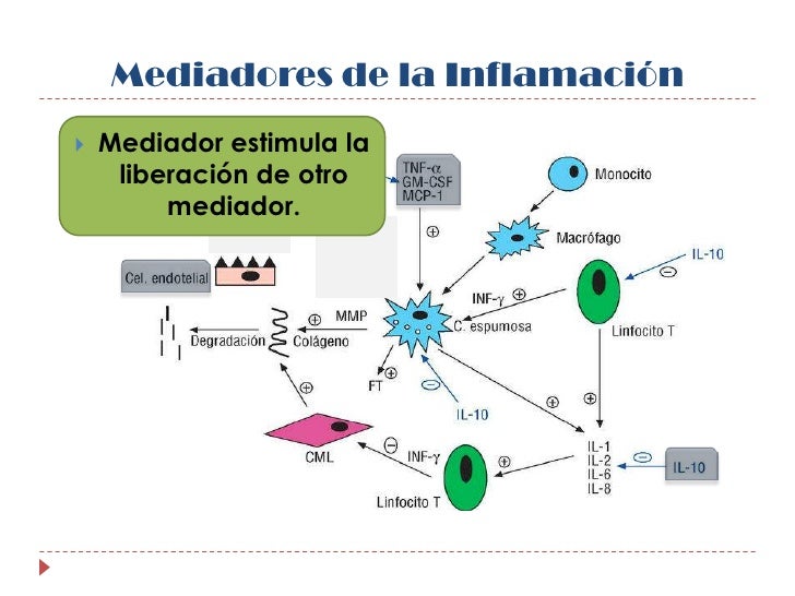 Mediadores de la Inflamacion
