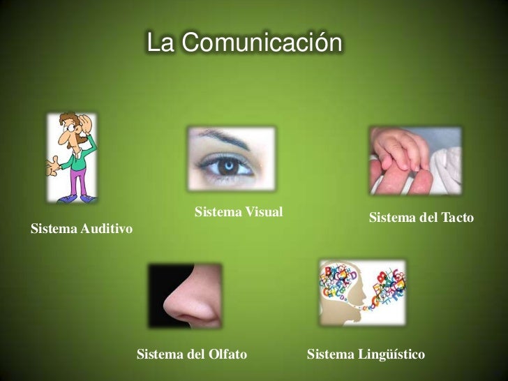 La Comunicación                            Sistema Visual            Sistema del TactoSistema Auditivo                   S...