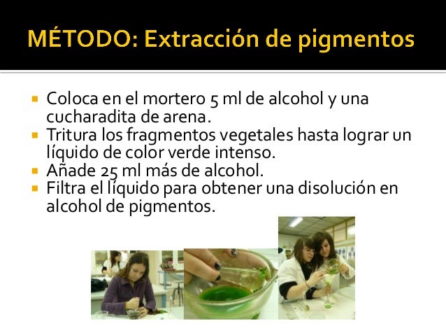 Que médico cura las manchas de pigmento