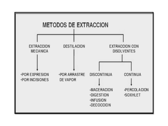 Extracción de principios activos de planta