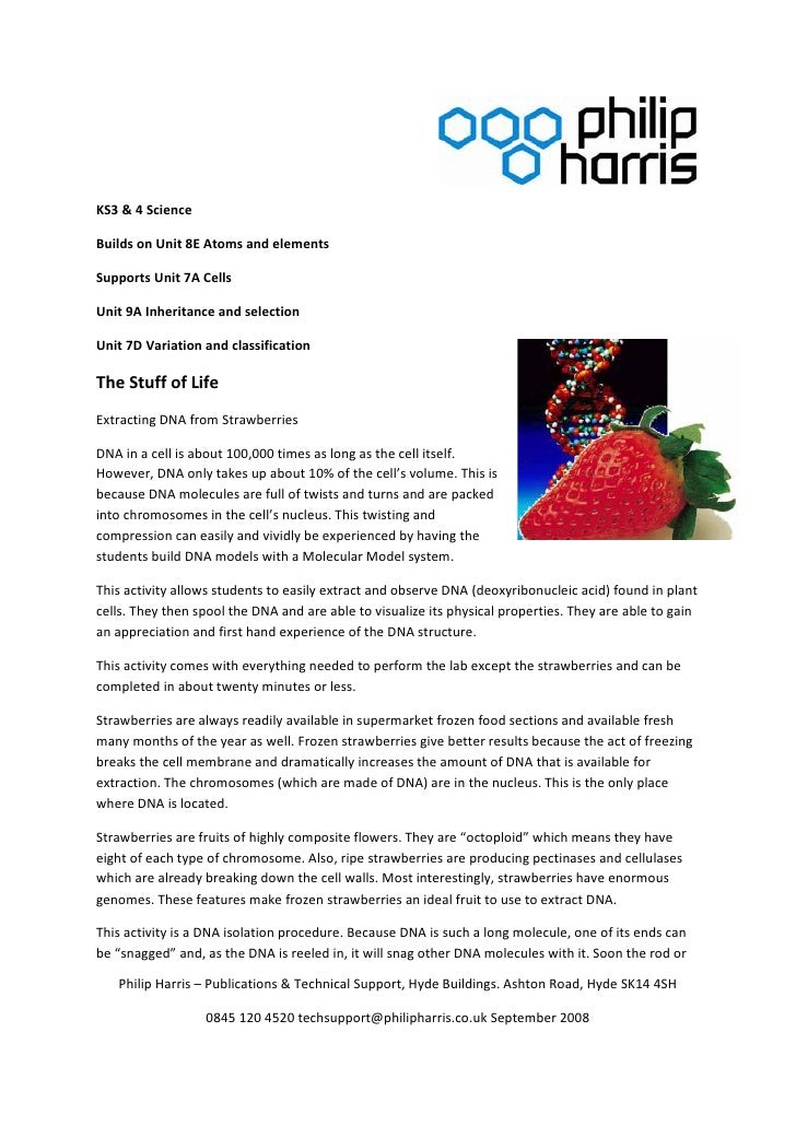 Strawberry lab essay picture